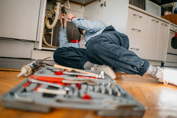 Best Plumbing Repair Near Me  in Lake Darby, OH
